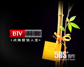 北京5DS 领航中国数字视觉艺术与职业教育新纪元